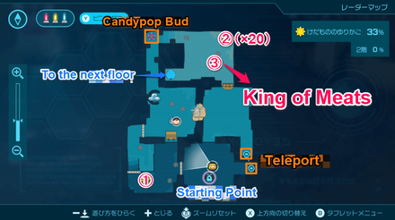 Pikmin 4 - King of Meats Map Location