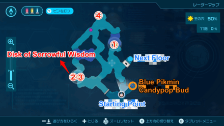 Pikmin 4 - Disk of Sorrowful Wisdom Map Location