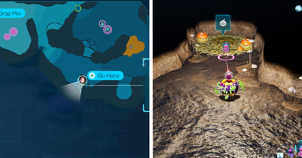 Pikmin 4 - Castaway 41 location