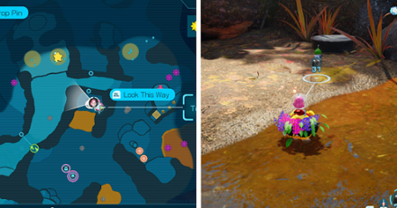 Pikmin 4 - Castaway 43 location