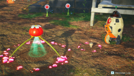 Pikmin 4 - Shipwreck Tale