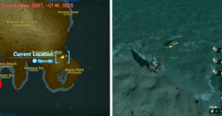 Tears of the Kingdom TOTK