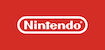 Nintendo Icon