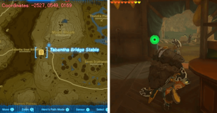 Tears of the Kingdom TOTK