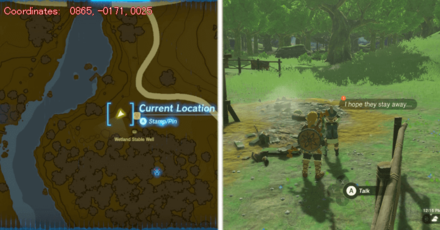 Tears of the Kingdom TOTK