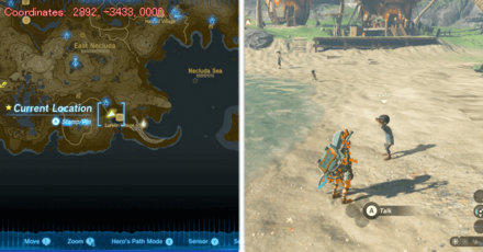 Tears of the Kingdom TOTK