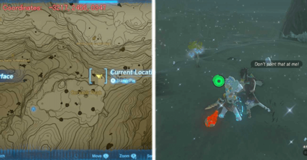 Tears of the Kingdom TOTK