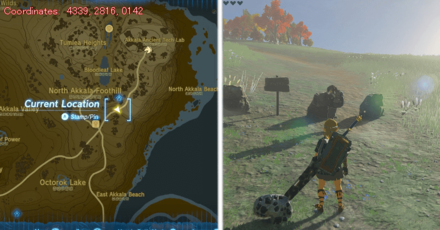 Tears of the Kingdom TOTK