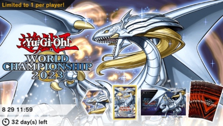 Legendary Dragon of White Accessory Bundle