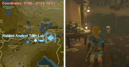 Tears of the Kingdom TOTK