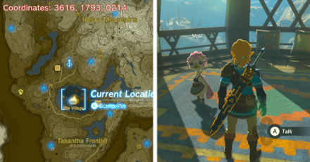 Tears of the Kingdom TOTK