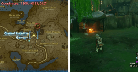 Tears of the Kingdom TOTK