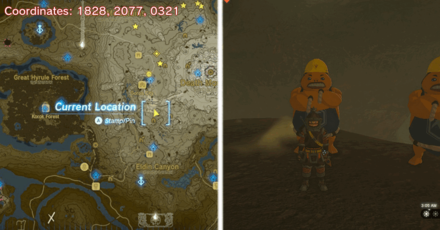 Tears of the Kingdom TOTK