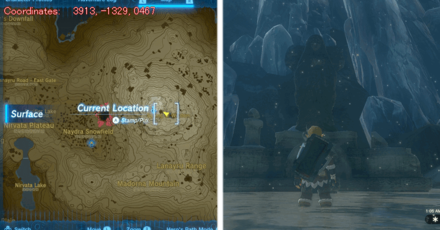 Tears of the Kingdom TOTK