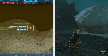 Tears of the Kingdom TOTK