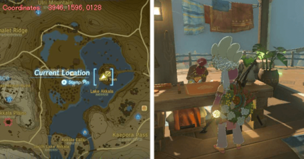 Tears of the Kingdom TOTK