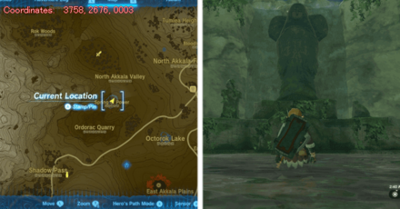 Tears of the Kingdom TOTK