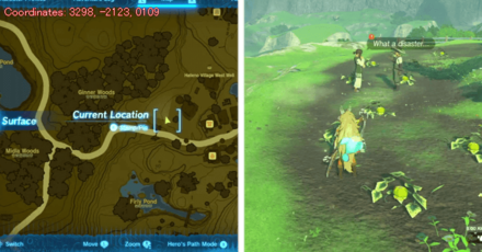 Tears of the Kingdom TOTK