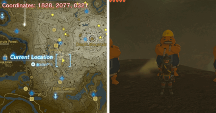 Tears of the Kingdom TOTK