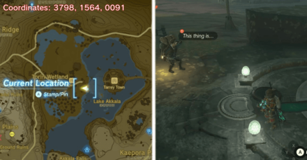 Tears of the Kingdom TOTK