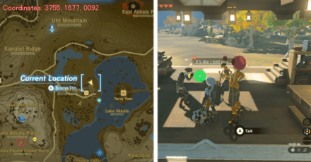 Tears of the Kingdom TOTK