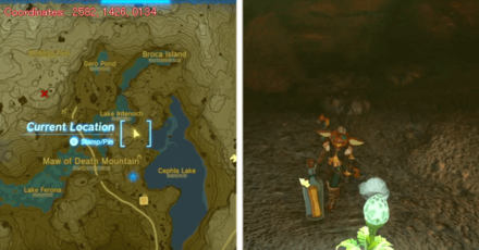 Tears of the Kingdom TOTK