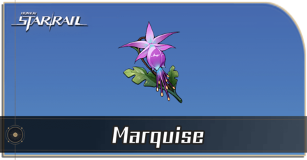Honkai Star Rail - How to Get Marquise