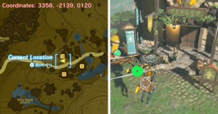 Tears of the Kingdom TOTK