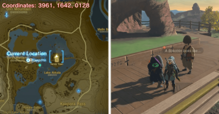 Tears of the Kingdom TOTK