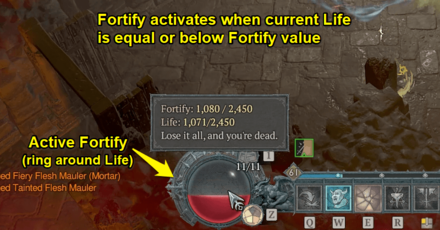 Diablo 4 - Active Fortify