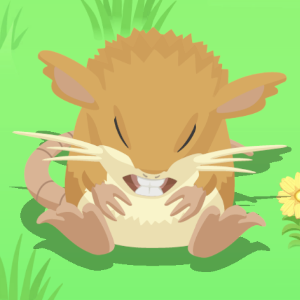 Pokemon Sleep - Teeth-Grinding Sleep