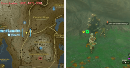 Tears of the Kingdom TOTK