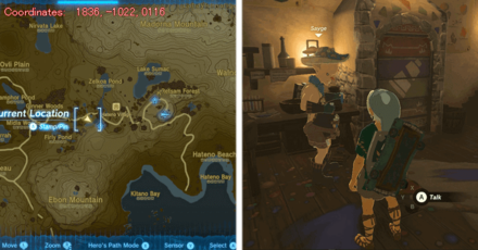 Tears of the Kingdom TOTK