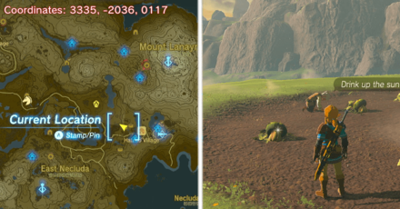 Tears of the Kingdom TOTK