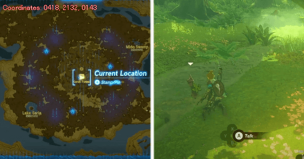 Tears of the Kingdom TOTK