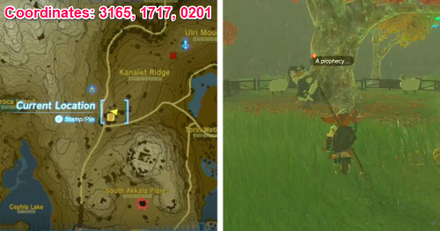 Tears of the Kingdom TOTK