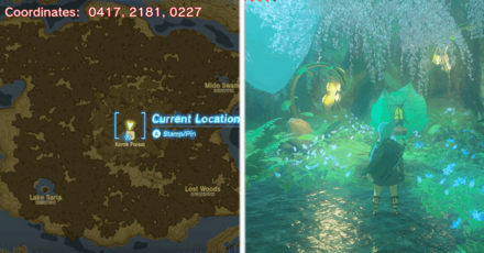 Tears of the Kingdom TOTK