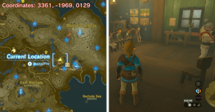 Tears of the Kingdom TOTK