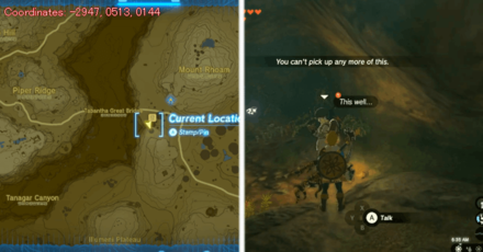 Tears of the Kingdom TOTK