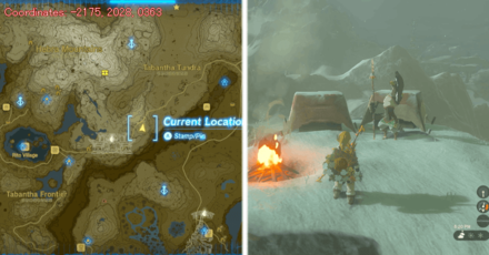 Tears of the Kingdom TOTK