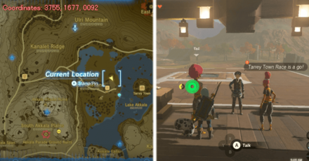 Tears of the Kingdom TOTK