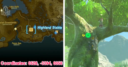 Tears of the Kingdom TOTK