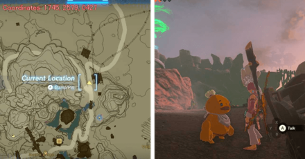 Tears of the Kingdom TOTK