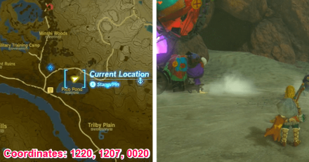 Tears of the Kingdom TOTK