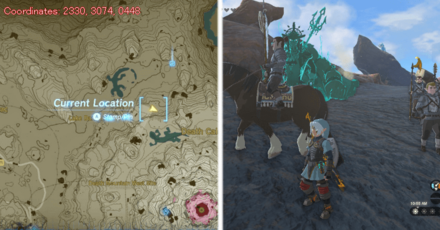 Tears of the Kingdom TOTK