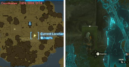 Tears of the Kingdom TOTK