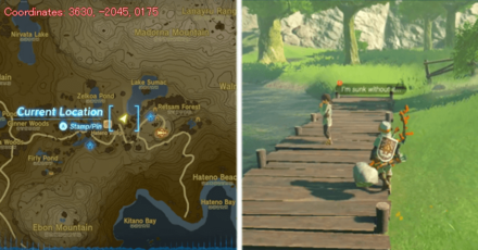 Tears of the Kingdom TOTK