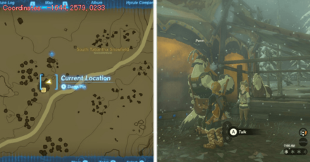 Tears of the Kingdom TOTK