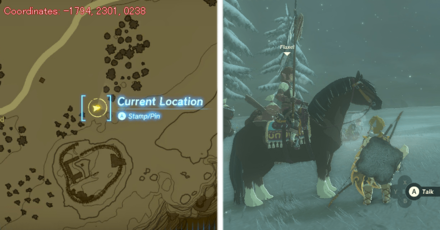 Tears of the Kingdom TOTK