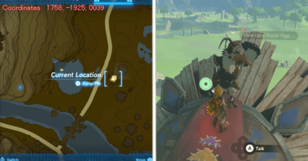 Tears of the Kingdom TOTK